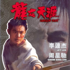 DRAGON FIGHT (1989)